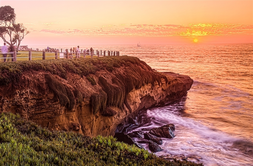 AUA - Home - American Urological Association
